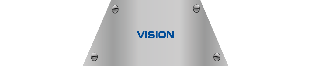 Vision